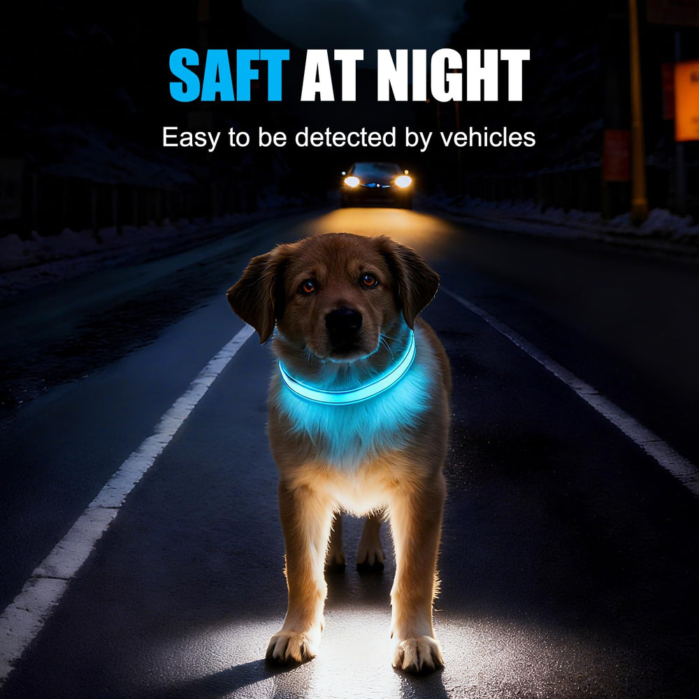 ZOWPET LED dog collar supports safe night-walks with clear visibility.