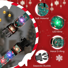 ZOWPET three-mode LED dog collar for night outings.