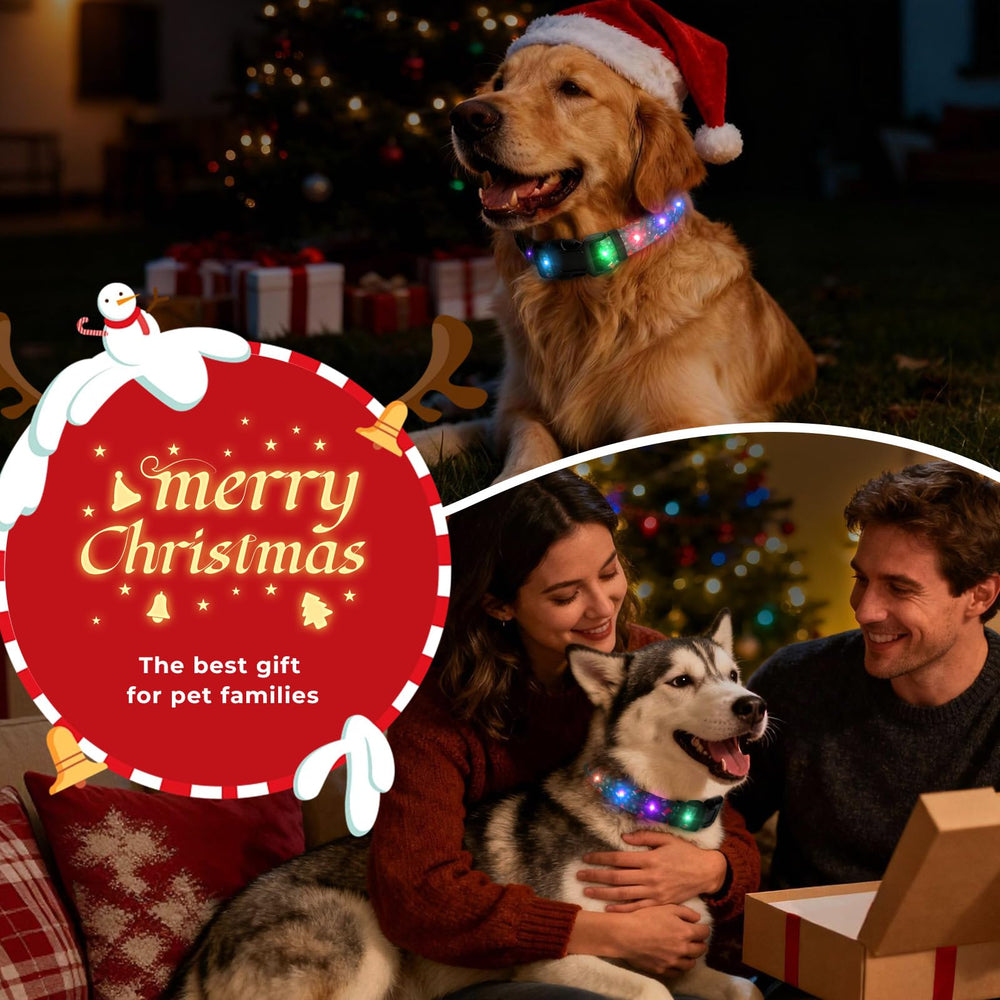 ZOWPET three-modes flashing collar offers fast, slow, and steady lighting.