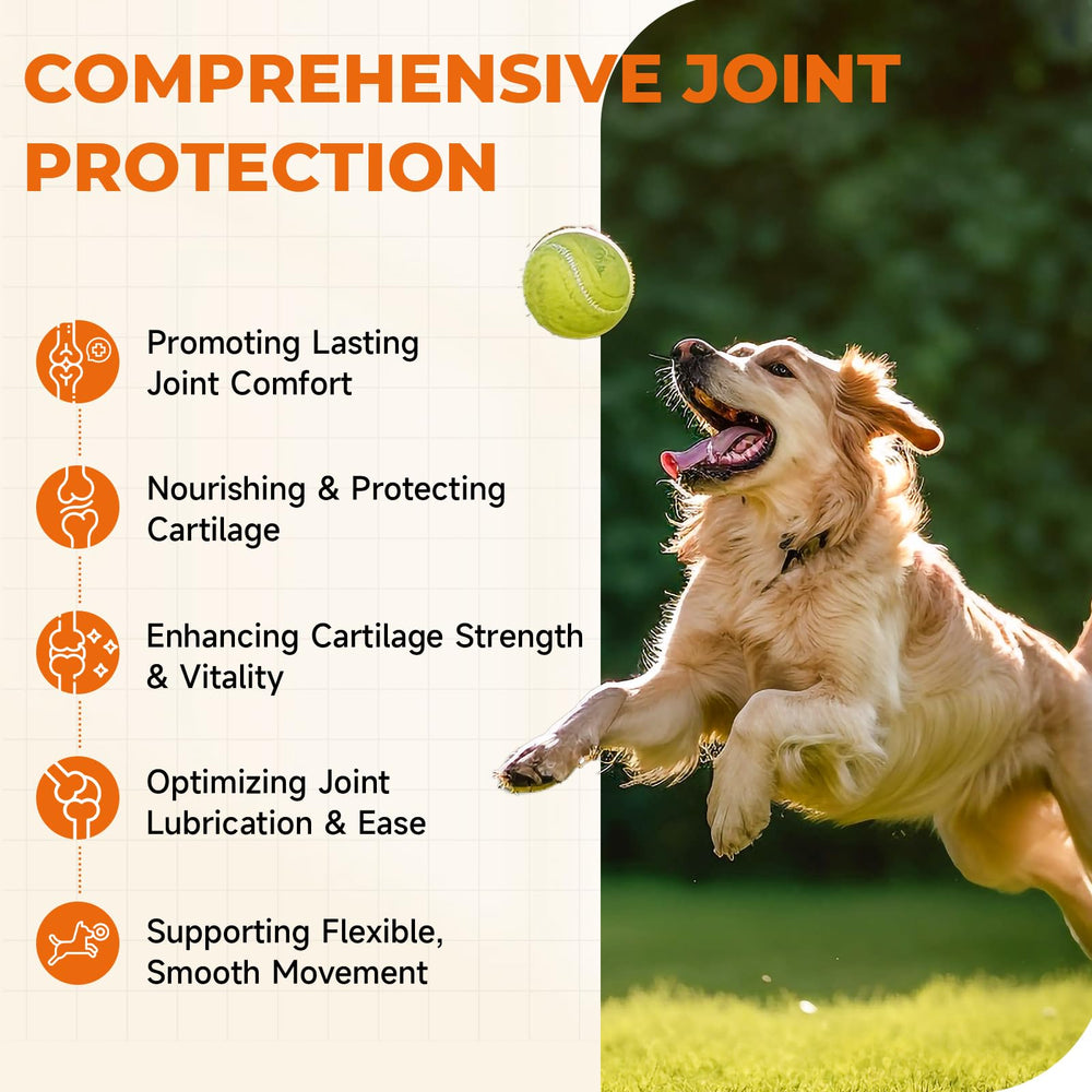 Zozdal dog chews in daily routine illustrating easy supplementation.