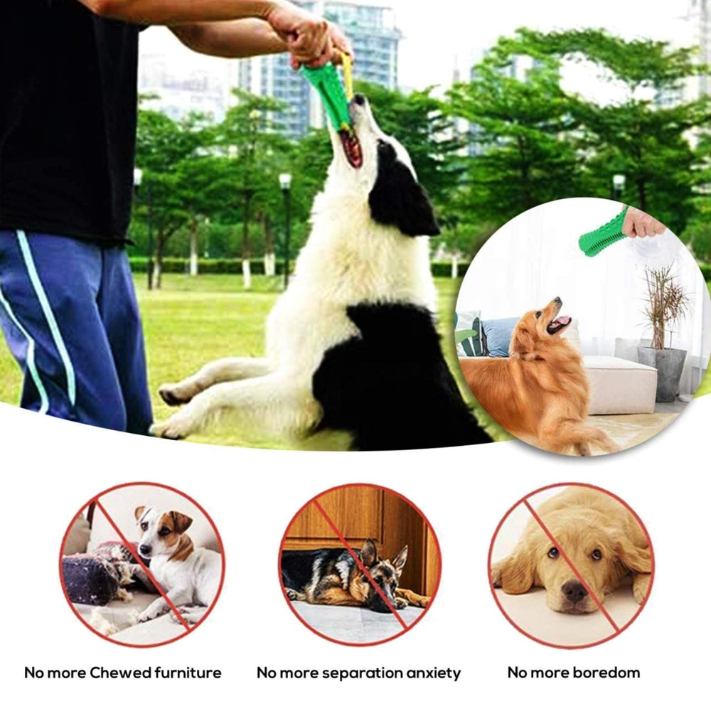 ZP-PY interactive play boosts mental stimulation and bonding.