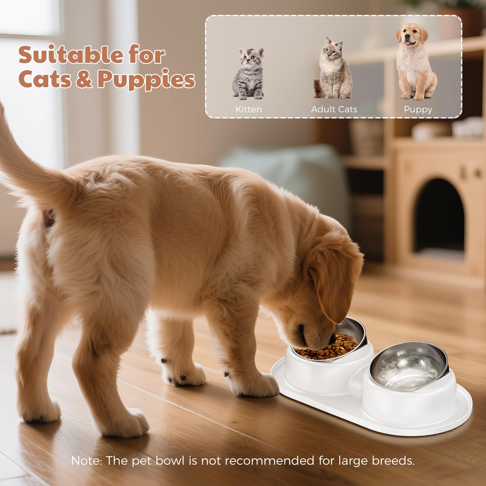 ZPUFDYM non-slip pet dining bowl keeps mealtime in place on slick surfaces.