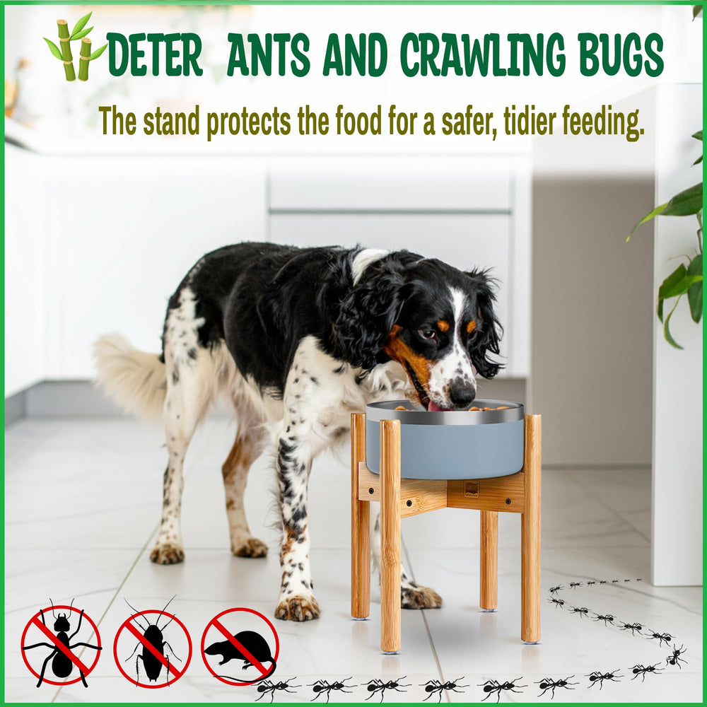 ZPirates stand deters ants and dirt from reaching bowls.