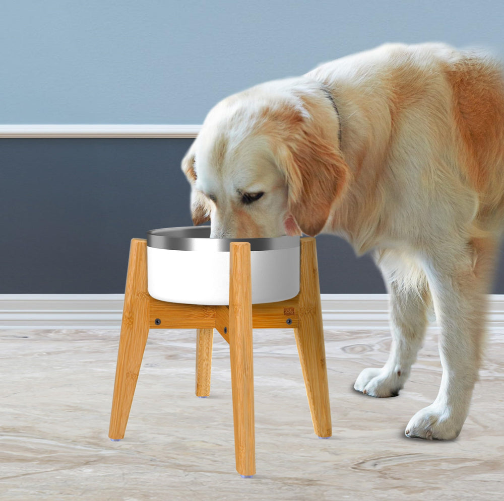ZPirates dog bowl stand assembled for quick setup