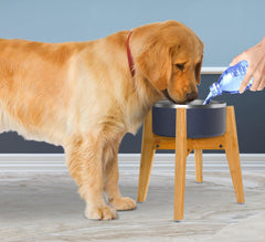 ZPirates bamboo-material stand showcases durable, warp-resistant wood