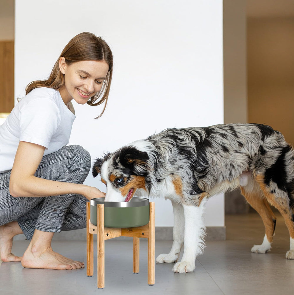 ZPirates stand elevates bowls to about 12 inches for better posture.