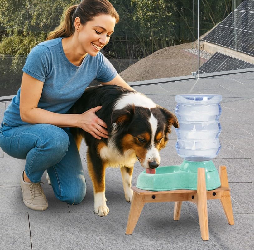 ZPirates elevated feeding height offers ergonomic access for larger breeds.