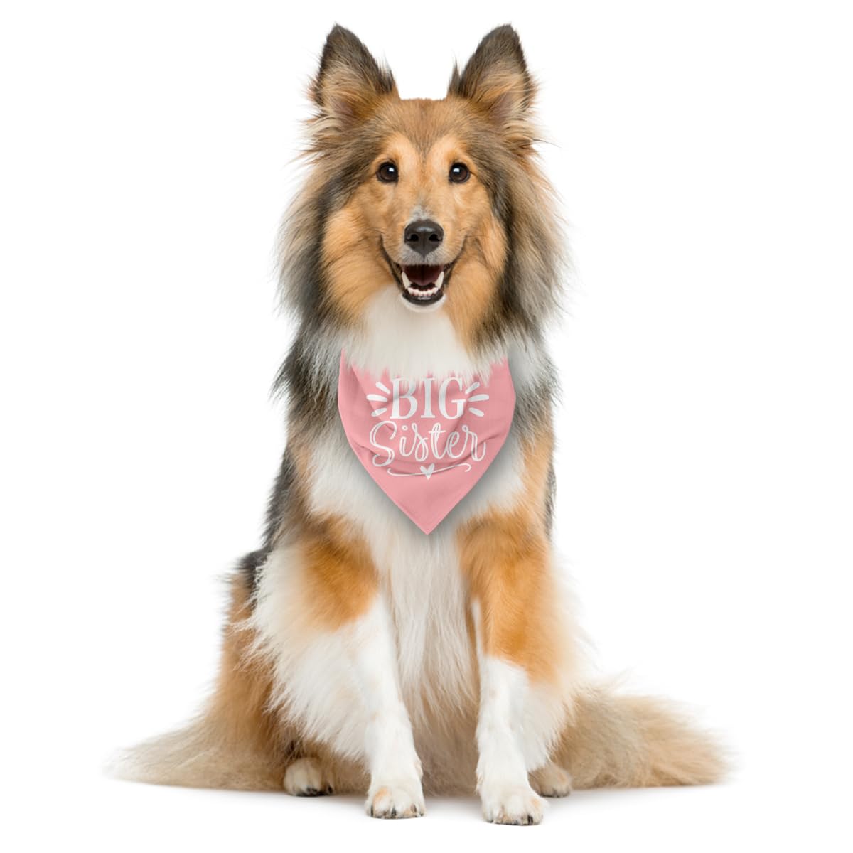 ZPPRJF big sister dog bandana pink gift-packaging image suggests a gift-ready accessory.