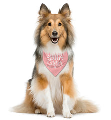 ZPPRJF big sister dog bandana pink worn on dog for a cute daily walk accessory