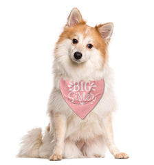 ZPPRJF pink pet triangle scarf style for family photos