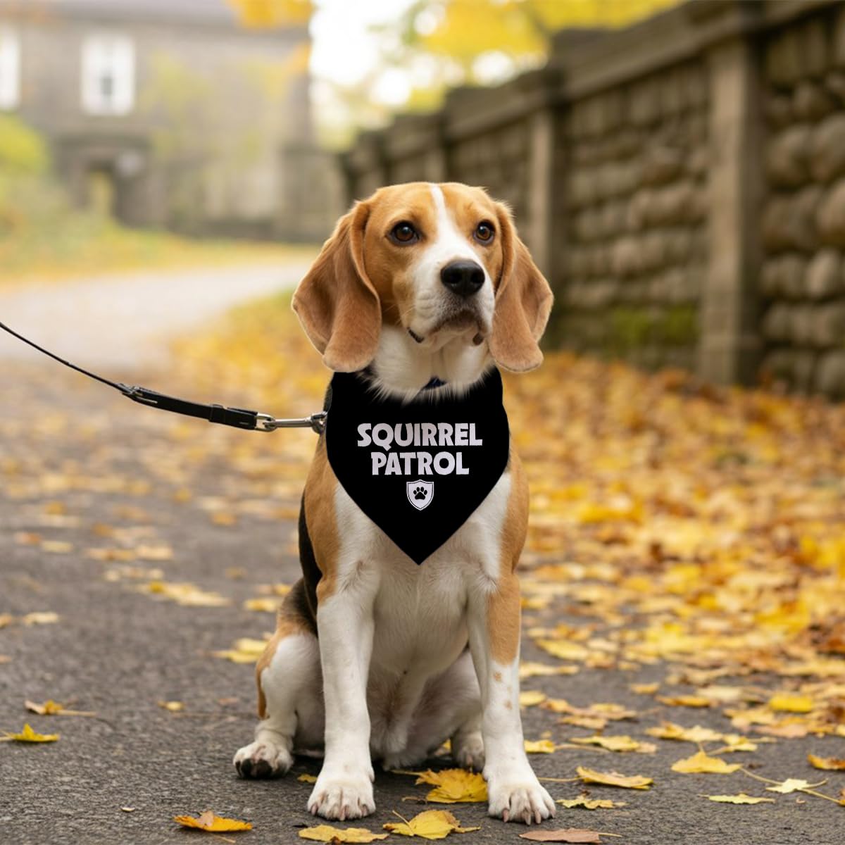 ZPPRJF Squirrel Patrol Bandana gift idea, great present for dog lovers