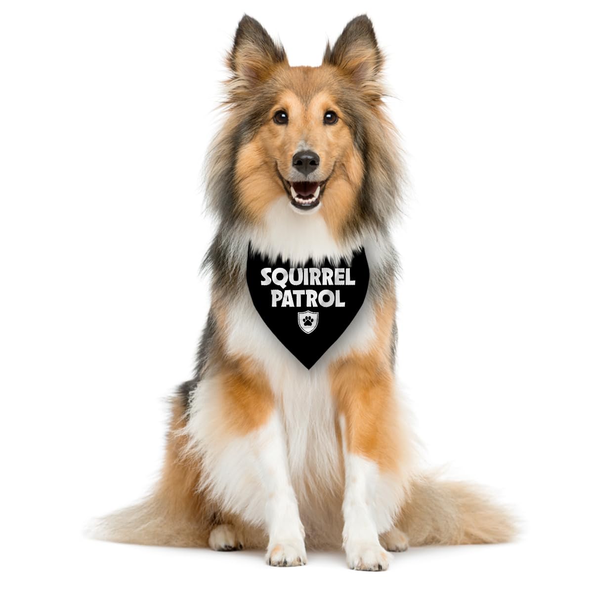ZPPRJF Squirrel Patrol Bandana wedding setup, festive canine styling