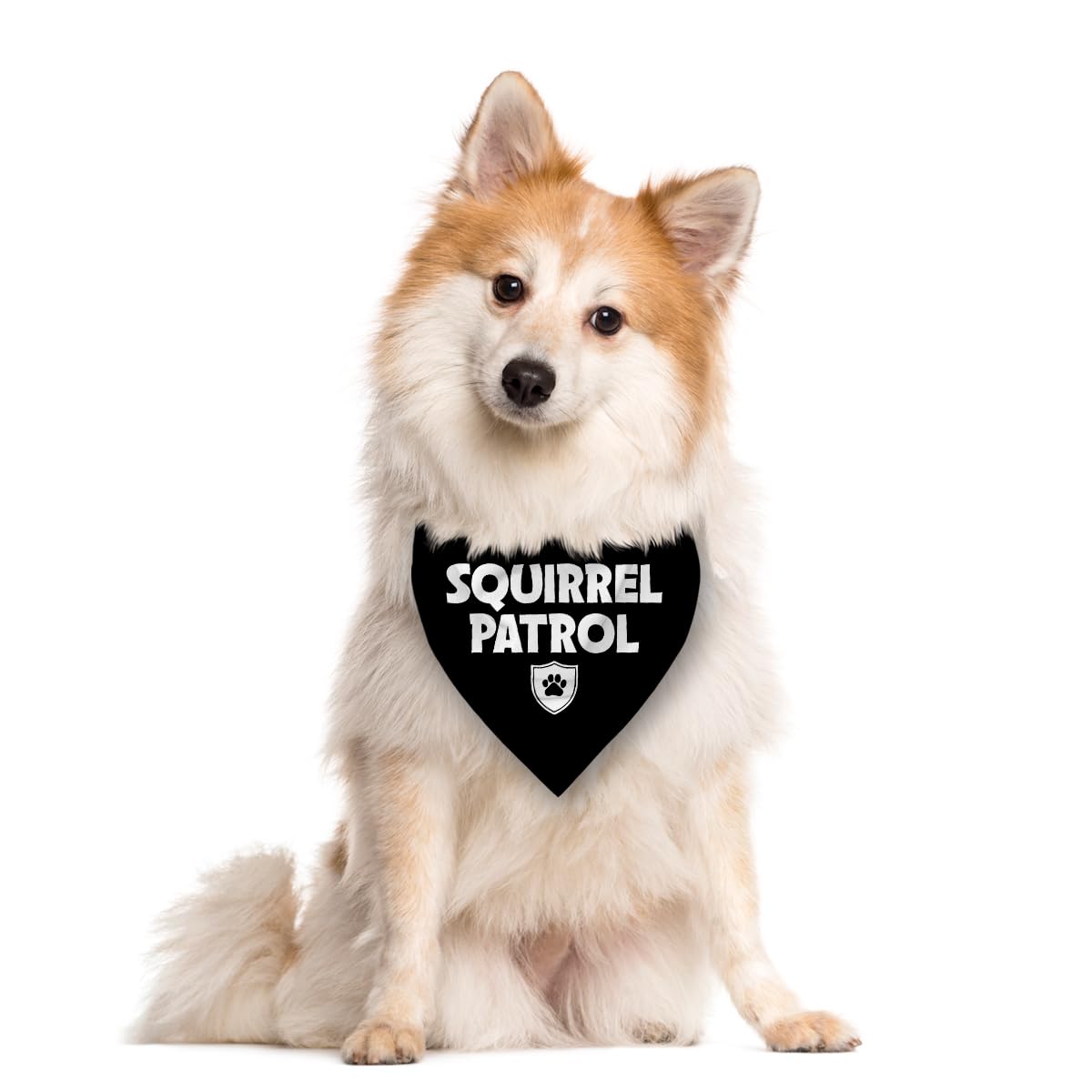 ZPPRJF Squirrel Patrol Bandana worn on dog, ideal for photoshoots and outings