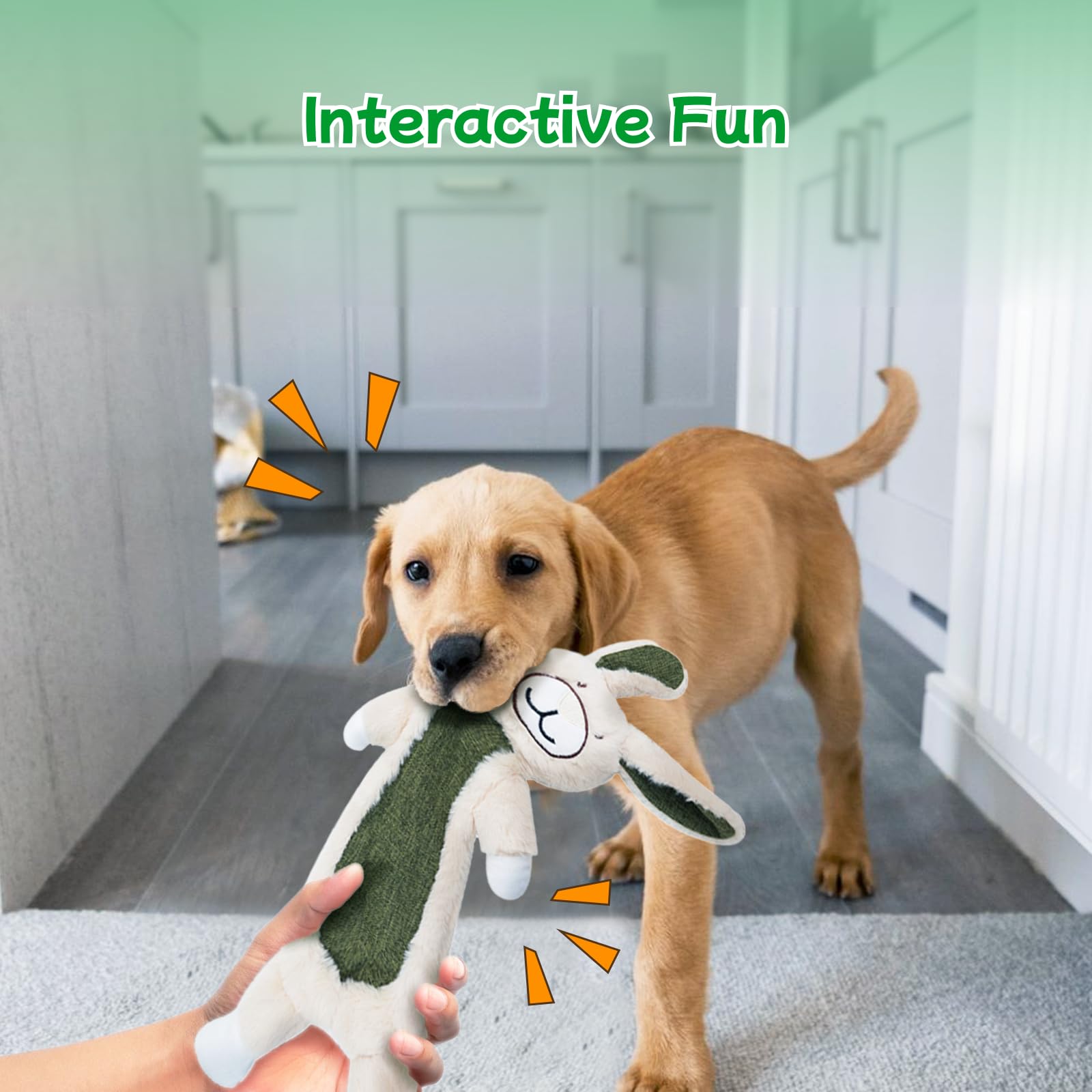 Zrbtk interactive plush dog toy invites tug and fetch playtime.
