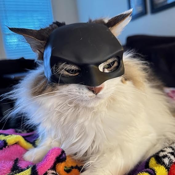 ZREVSB cat bat mask packaging image showing ready-to-gift presentation.