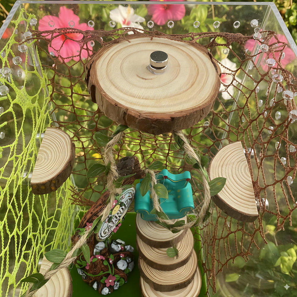 ZREVSB Jumping Spider Enclosure Kit layout close-up demonstrates vertical space.