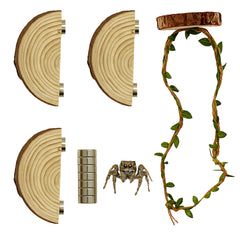ZREVSB Jumping Spider Enclosure Kit wooden ledge close-up for enrichment.