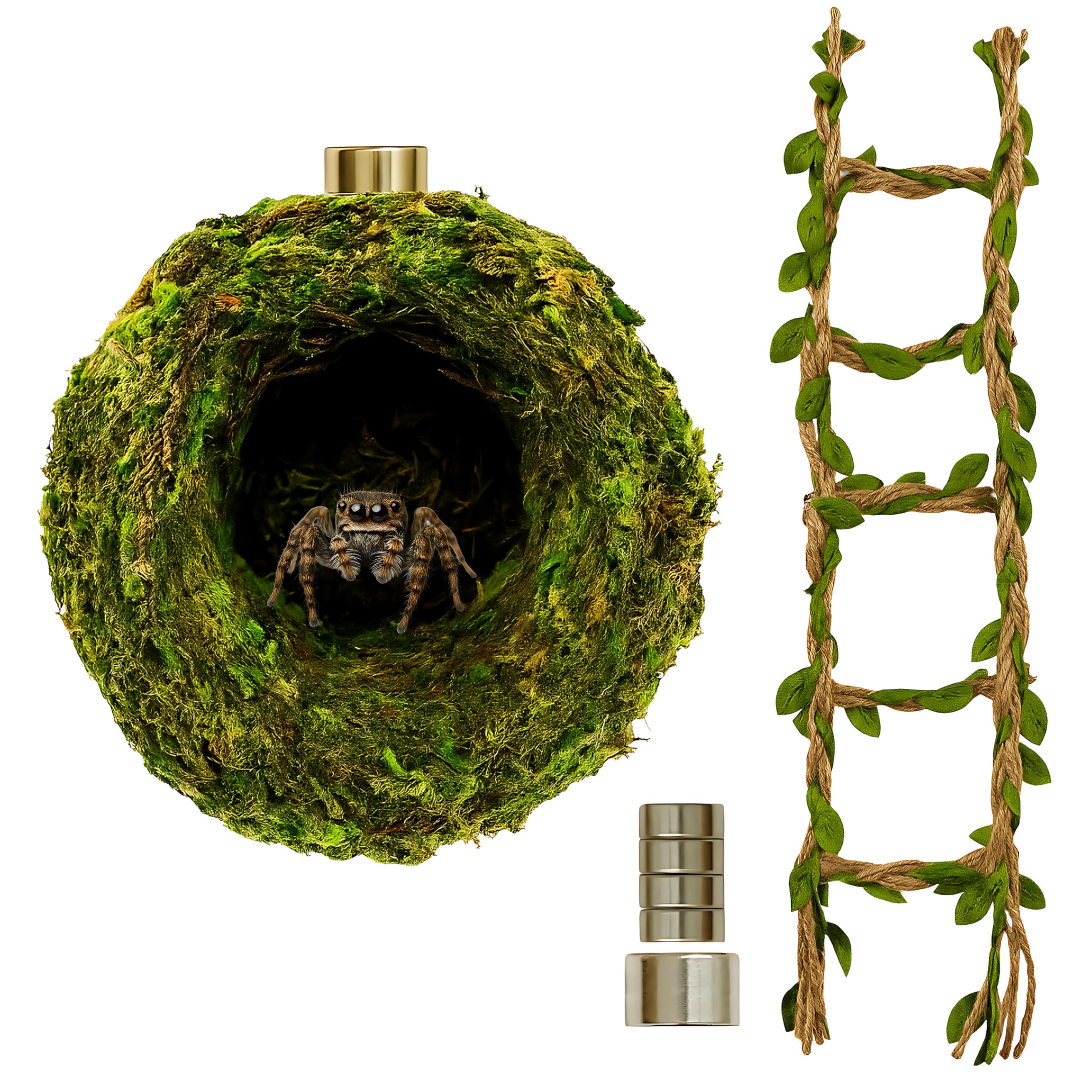 ZREVSB Jumping Spider Hideout moss hideout offers cozy shelter for restful spider downtime.