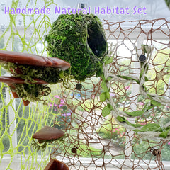 ZREVSB Jumping Spider Hideout terrarium-compatibility design fits most enclosures for quick setup.