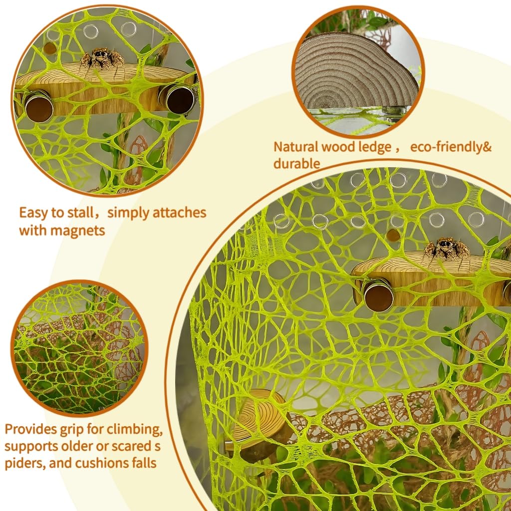 ZREVSB natural décor set — multi-functional habitat accessories for enriching spider play
