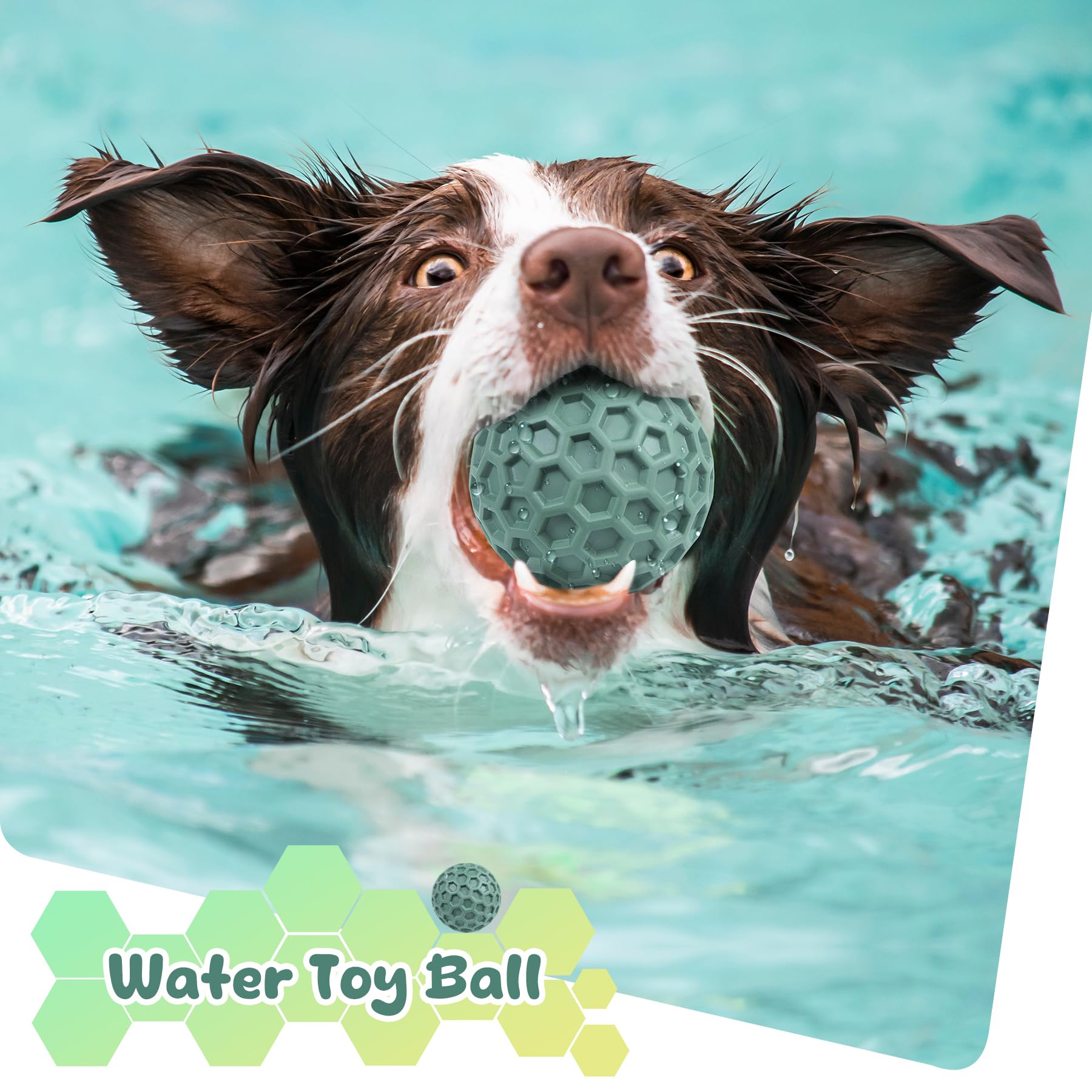 ZRIFAQESW beef-flavored squeaky ball attracts dogs during chewing.