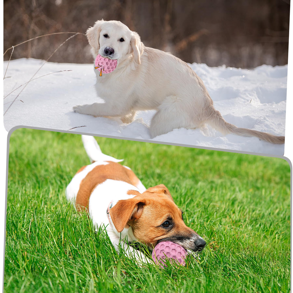 ZRIFAQESW bright color dog toy visible for easy locating outdoors.