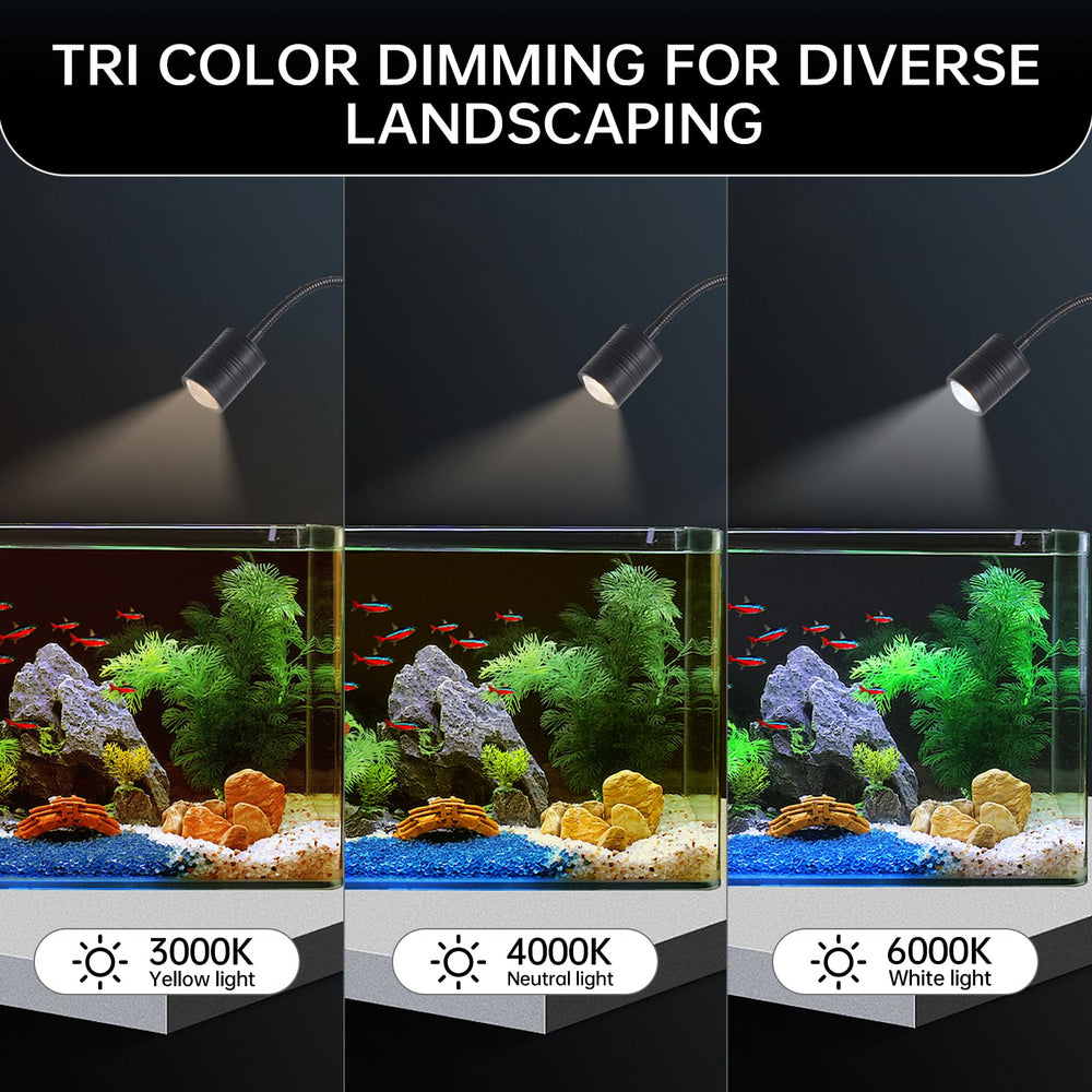 ZRPSSGE fish tank illumination highlights aquatic life with soft, non-glaring glow