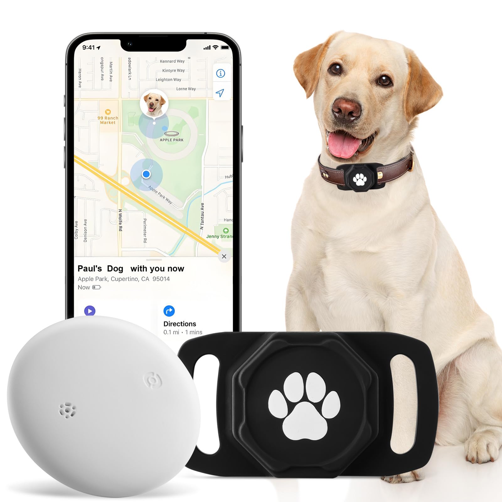 Ztobny smart pet tracker on collar shows real-time location for quick safety checks