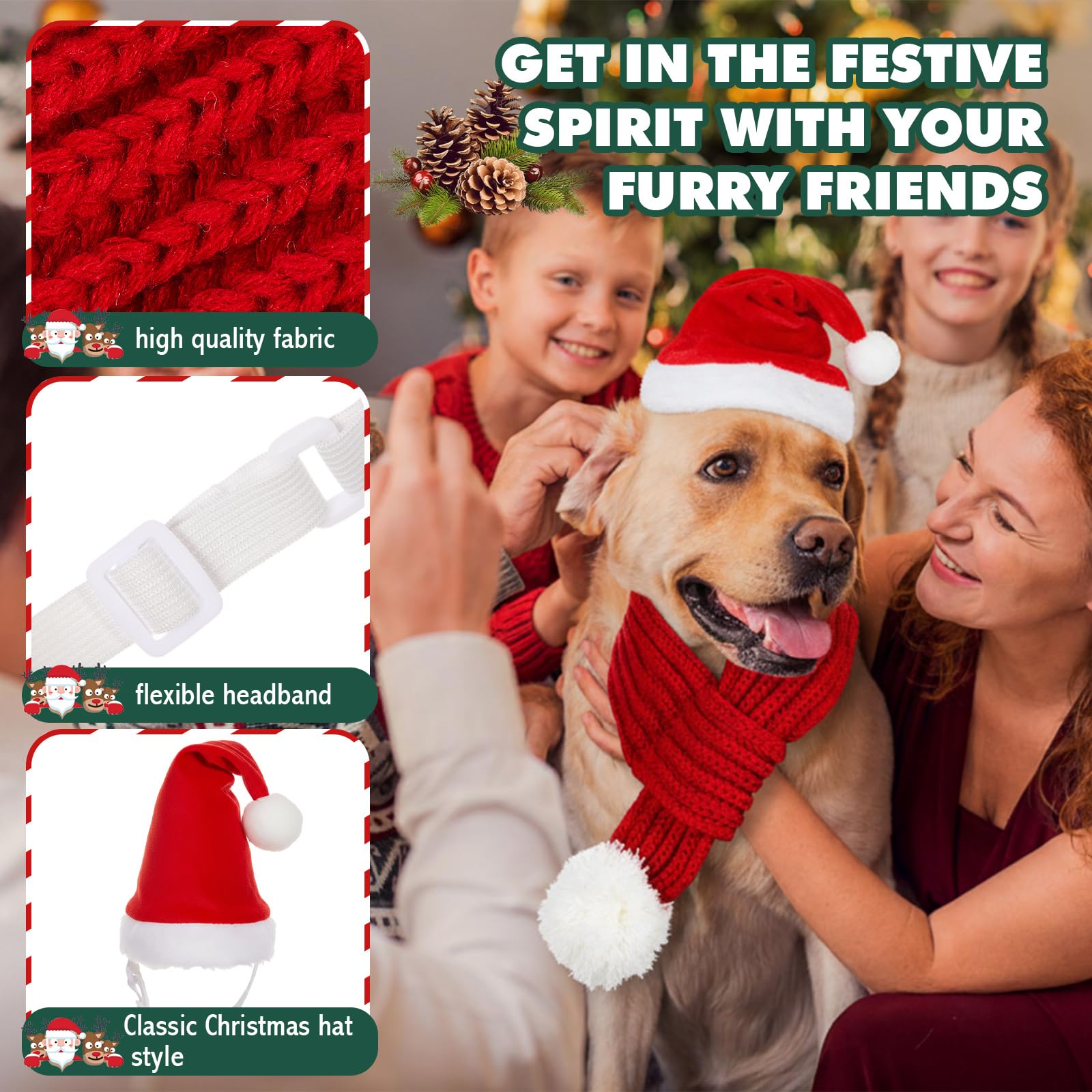 Zubebe dog Christmas outfit worn during a festive moment for photos