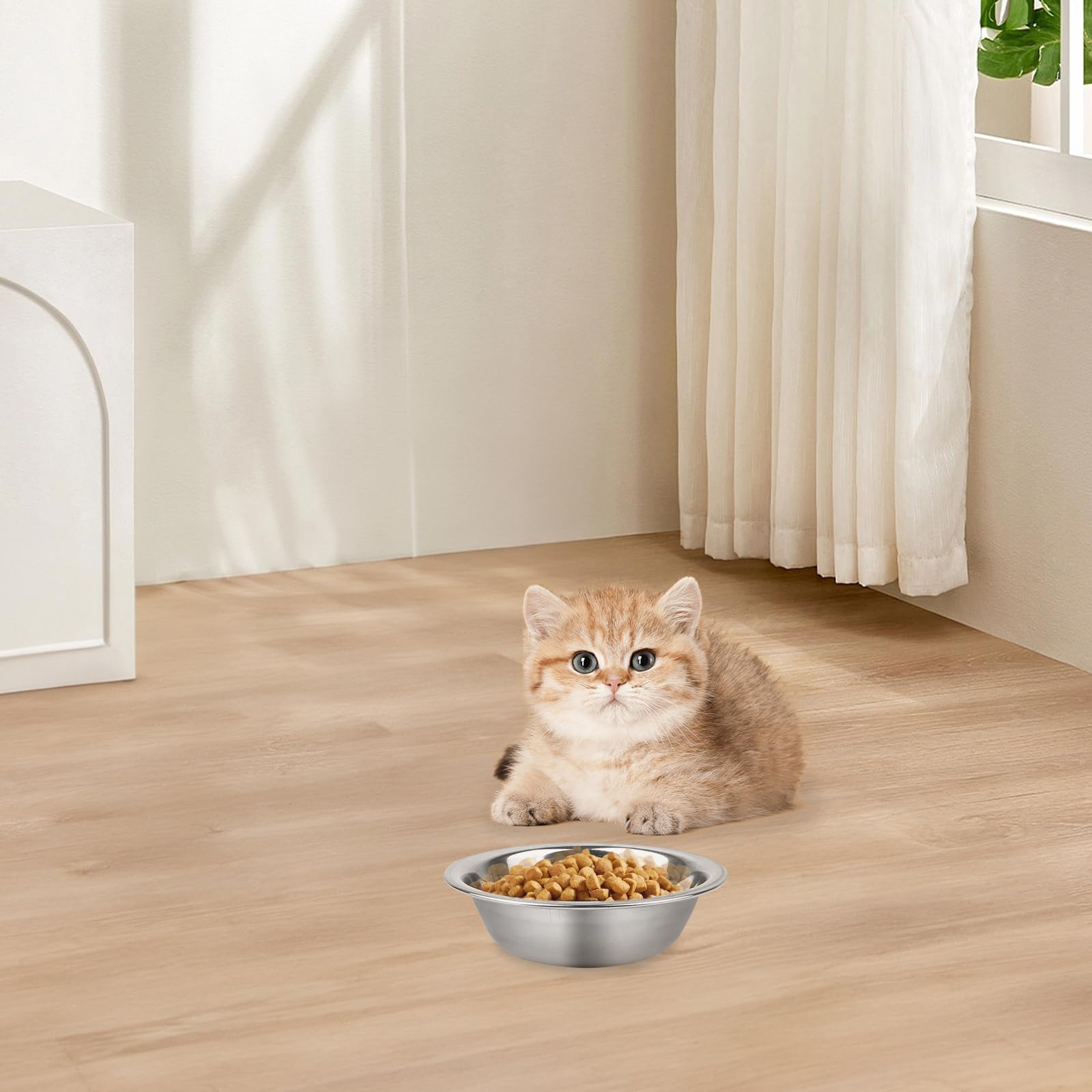 ZUFECY cat bowls multi-pet use scene showcases suitability for cats and small dogs