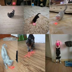 Zugesify stainless-steel shell close-up highlighting durable design