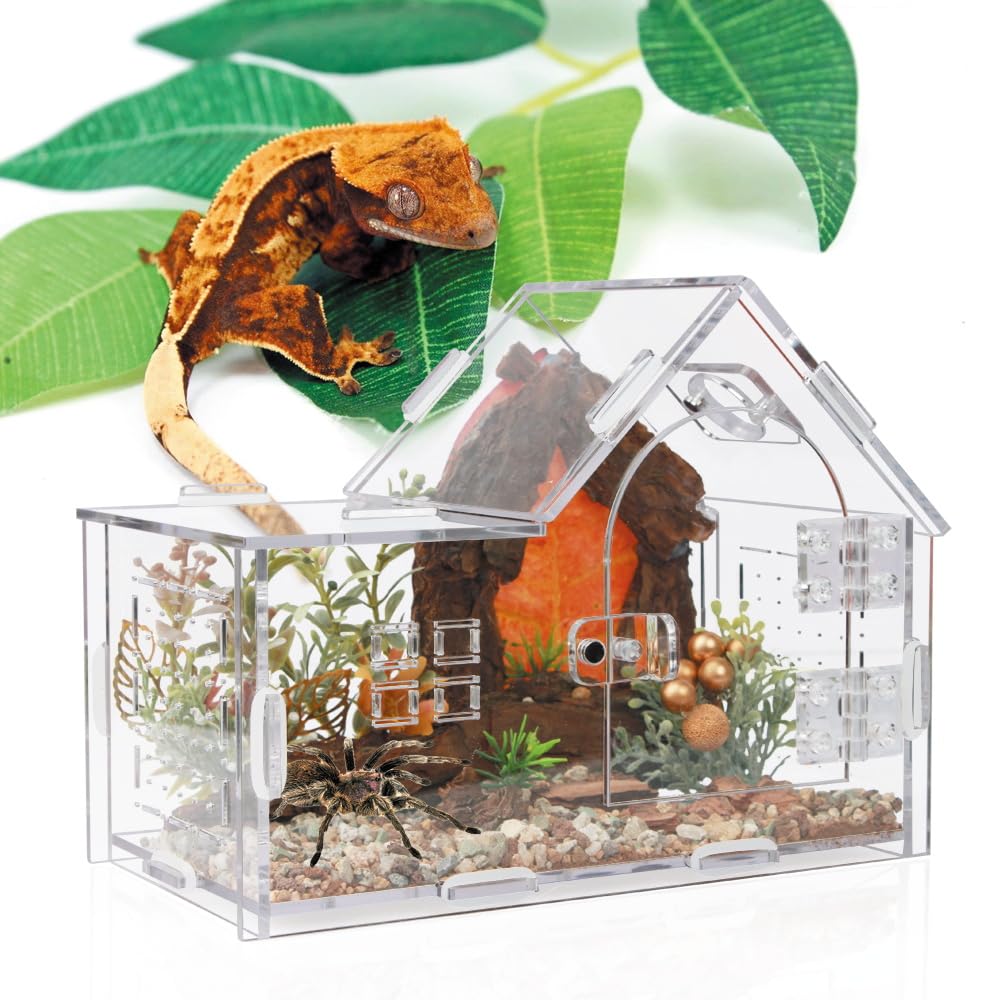 ZUIFIANLE heart-accent variant emphasizes decorative appeal while observing pet behavior
