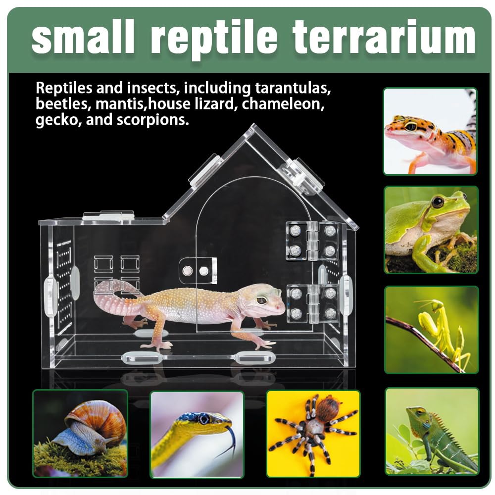 ZUIFIANLE multi-level enclosure promotes layered habitats and airflow