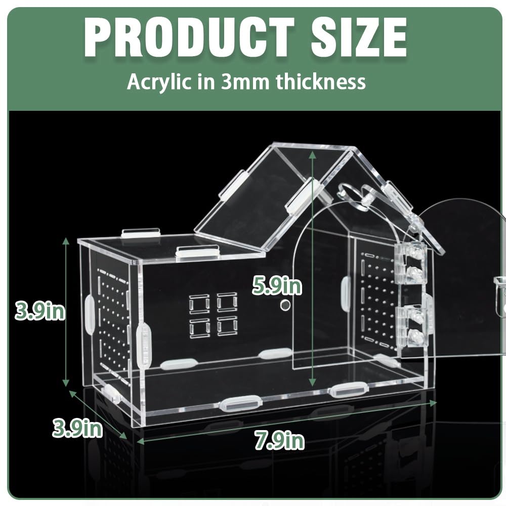 ZUIFIANLE jumping spider enclosure classic clear variant offers 360° visibility for observing behaviors