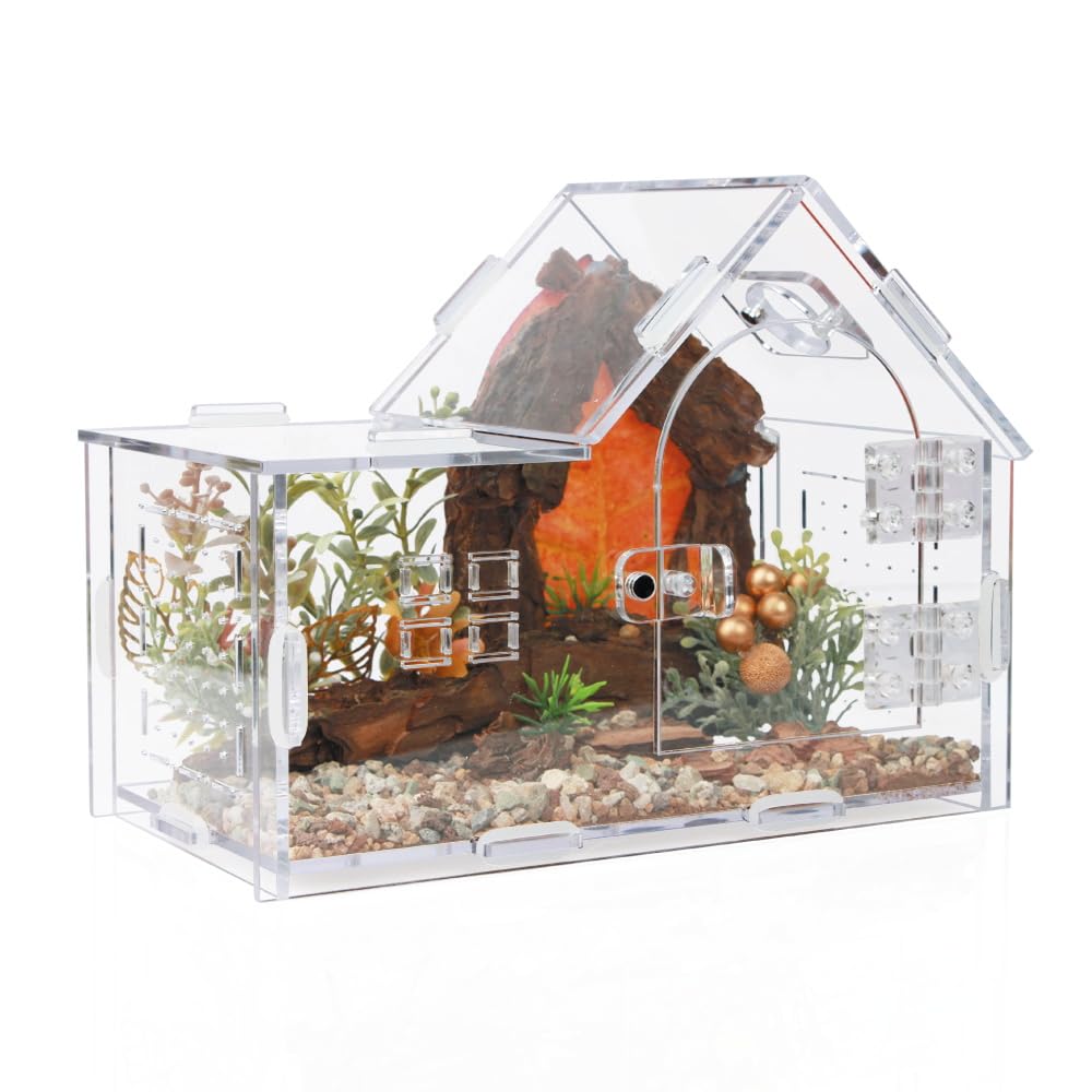 ZUIFIANLE magnetic acrylic jumping spider enclosure front view for quick observation