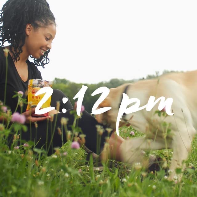 Zuke's Mini Naturals Salmon includes real ingredients like cherries.