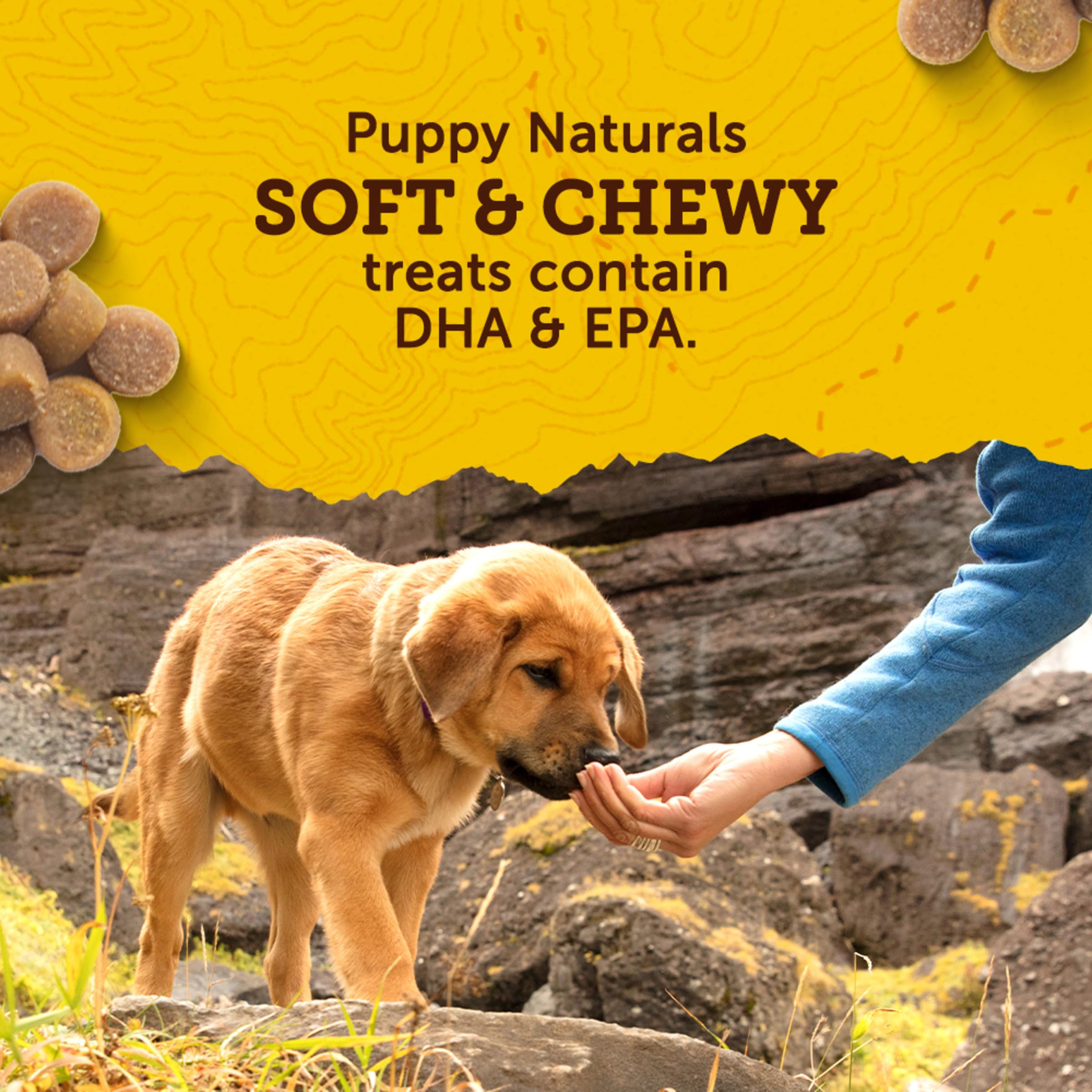 Zuke's Puppy Naturals no corn, wheat, or soy for sensitive puppies