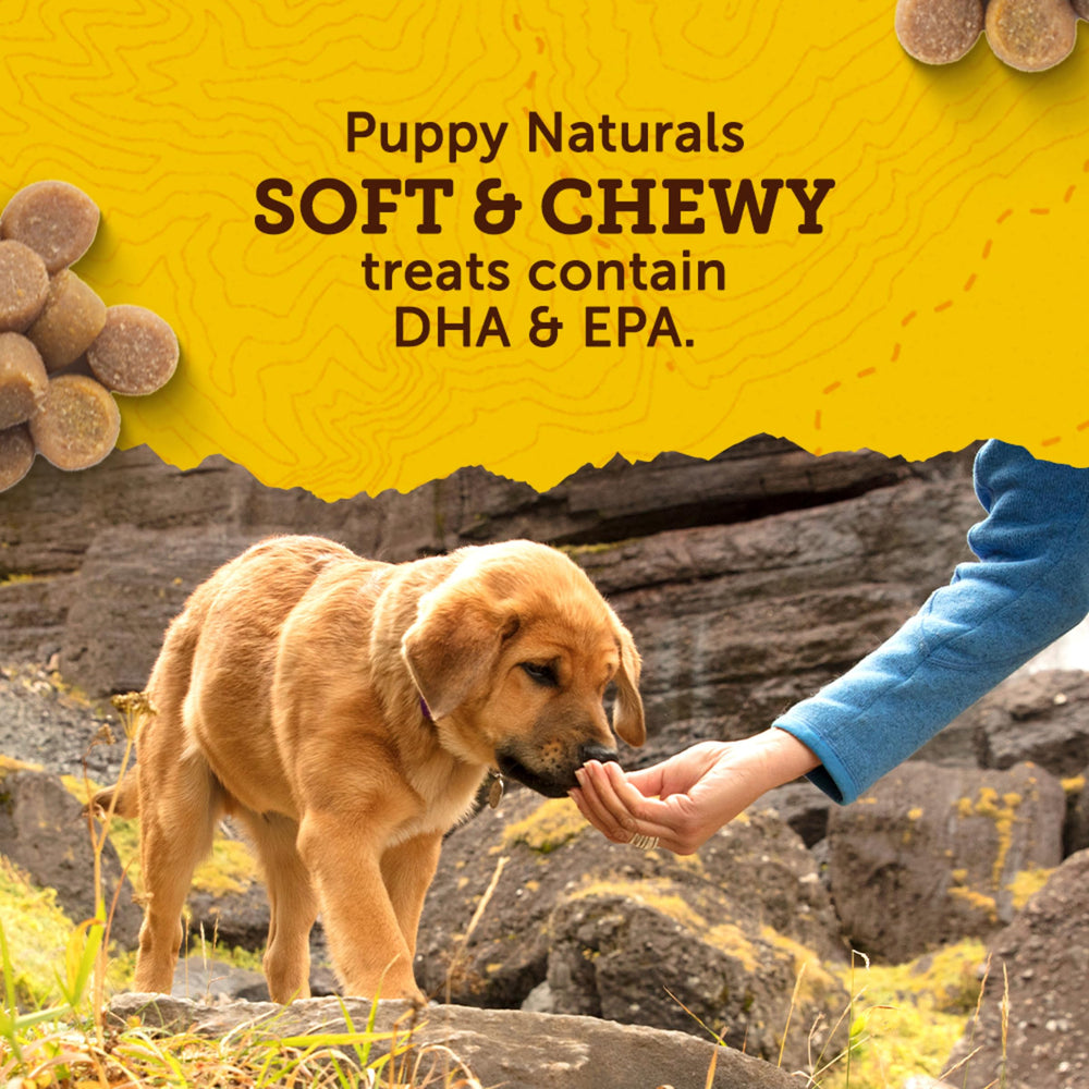 Zuke's Puppy Naturals no corn, wheat, or soy for sensitive puppies