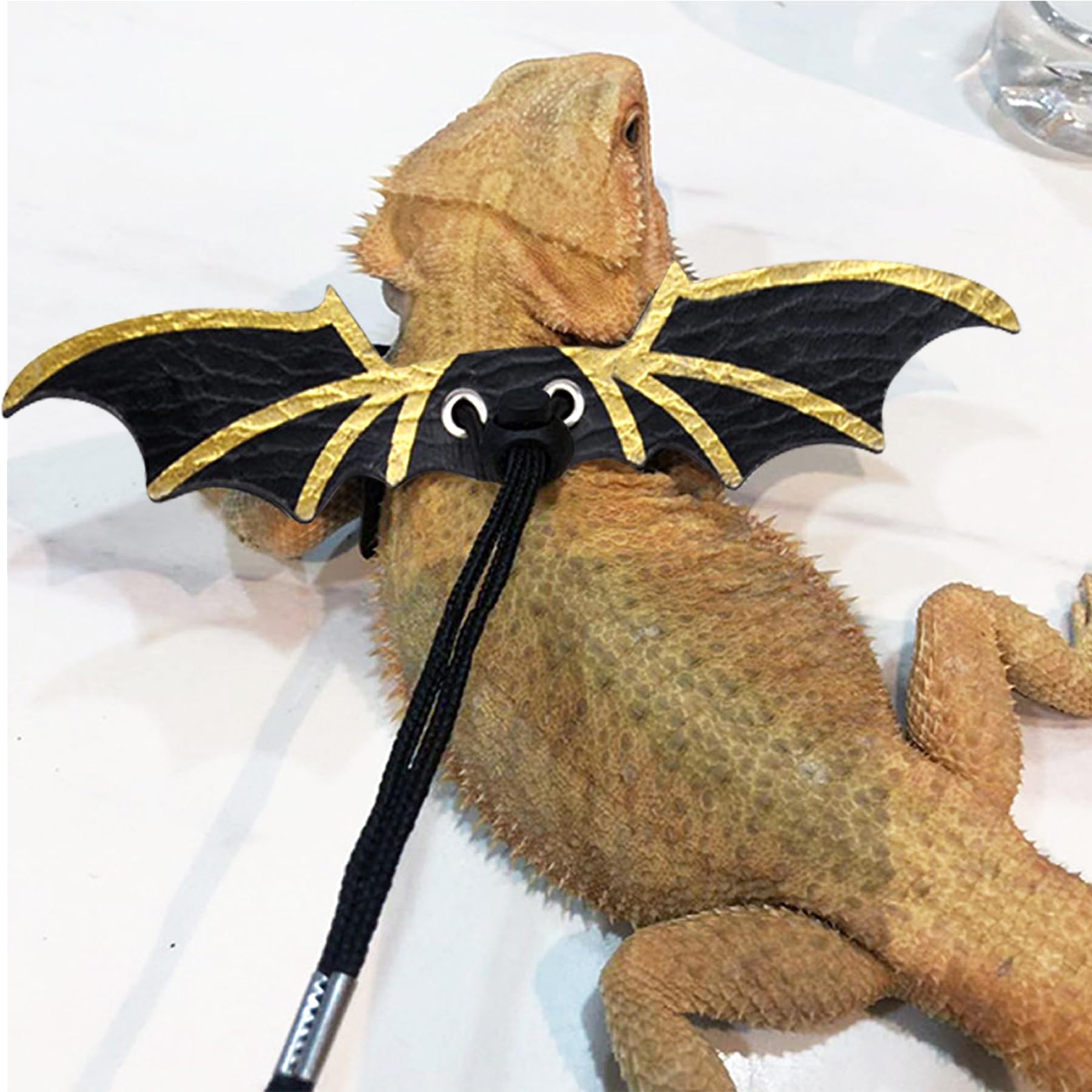 ZukoCert lizard-wing-leash detachable allows quick removal for calm handling.