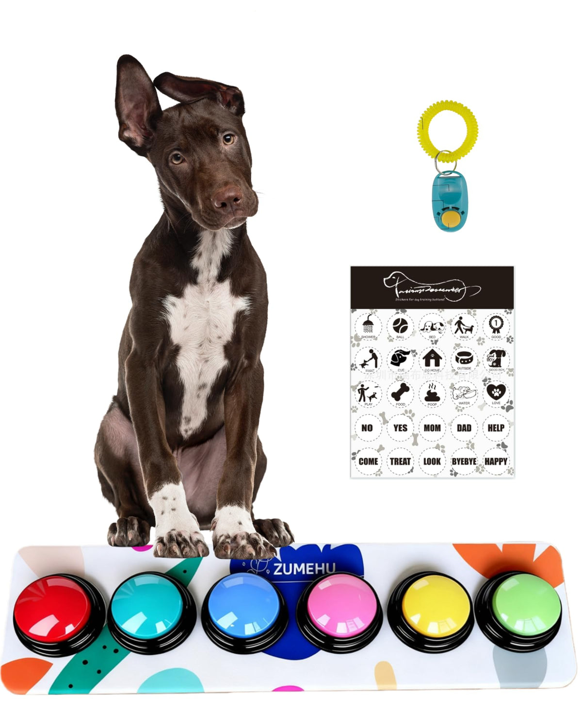 ZUMEHU dog-buttons kit assembled shows ready-to-use training setup.