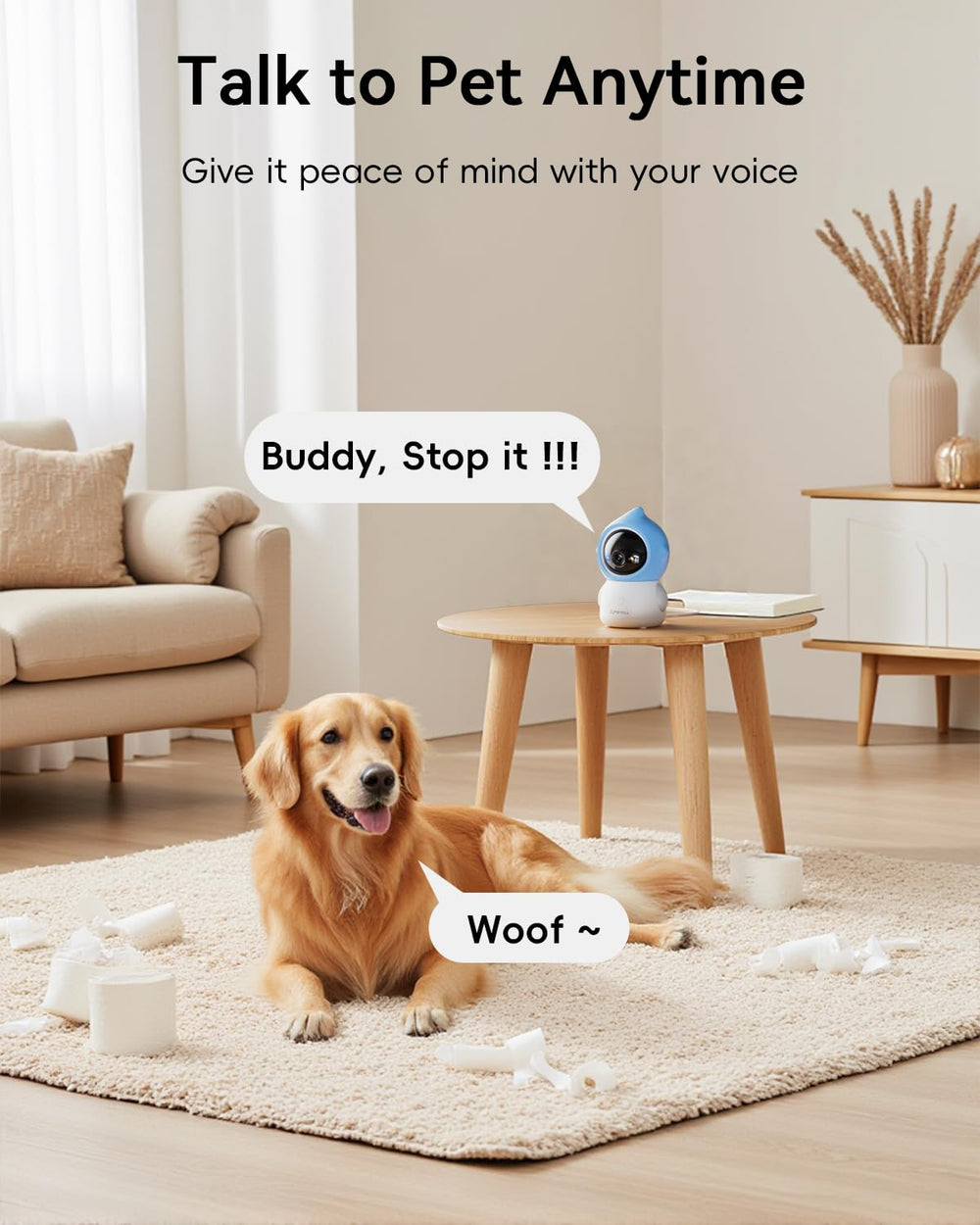 ZUMIMALL pet camera indoor 24/7 recording via cloud or SD storage