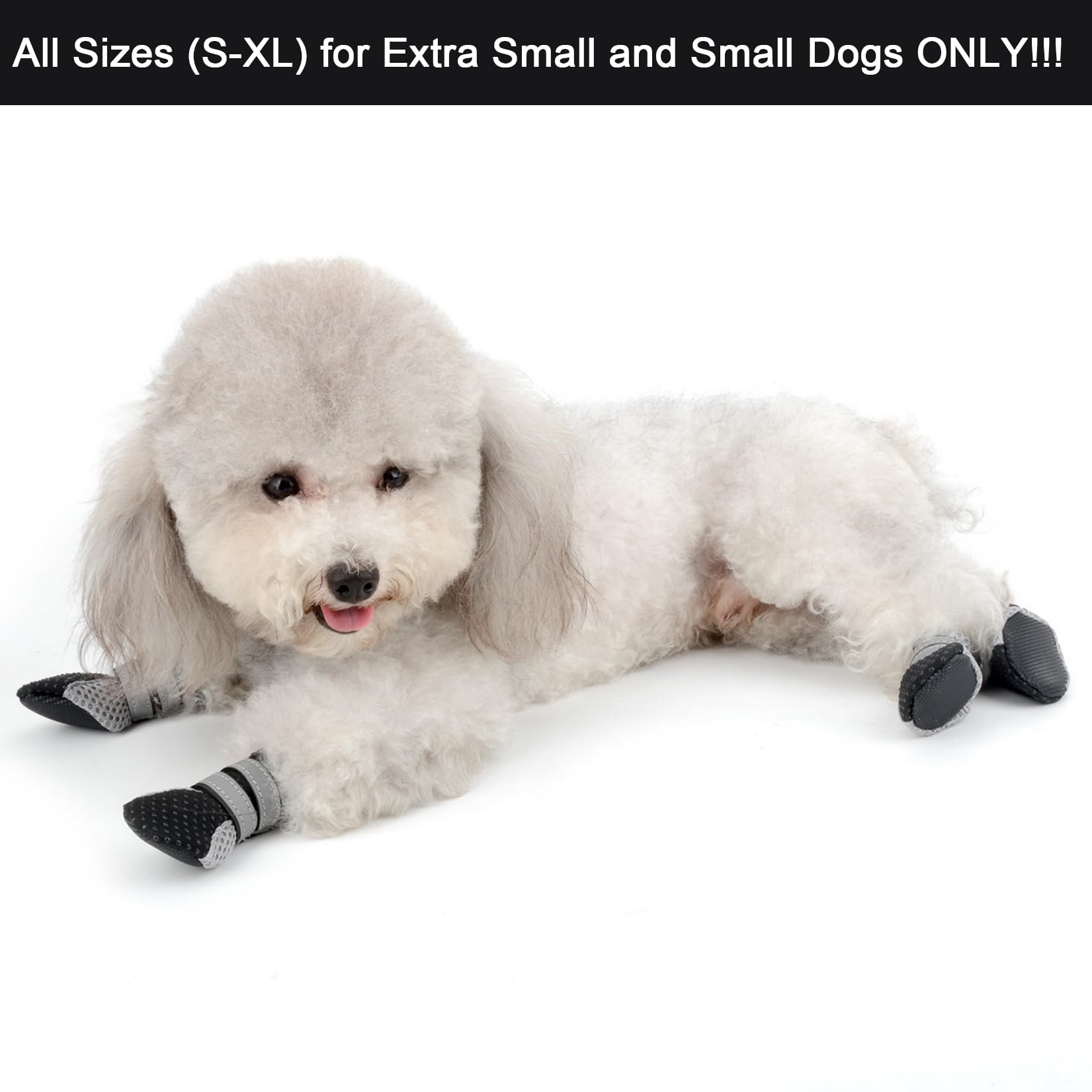 Zunea dog boots showing adjustable reflective strap for night safety and visibility