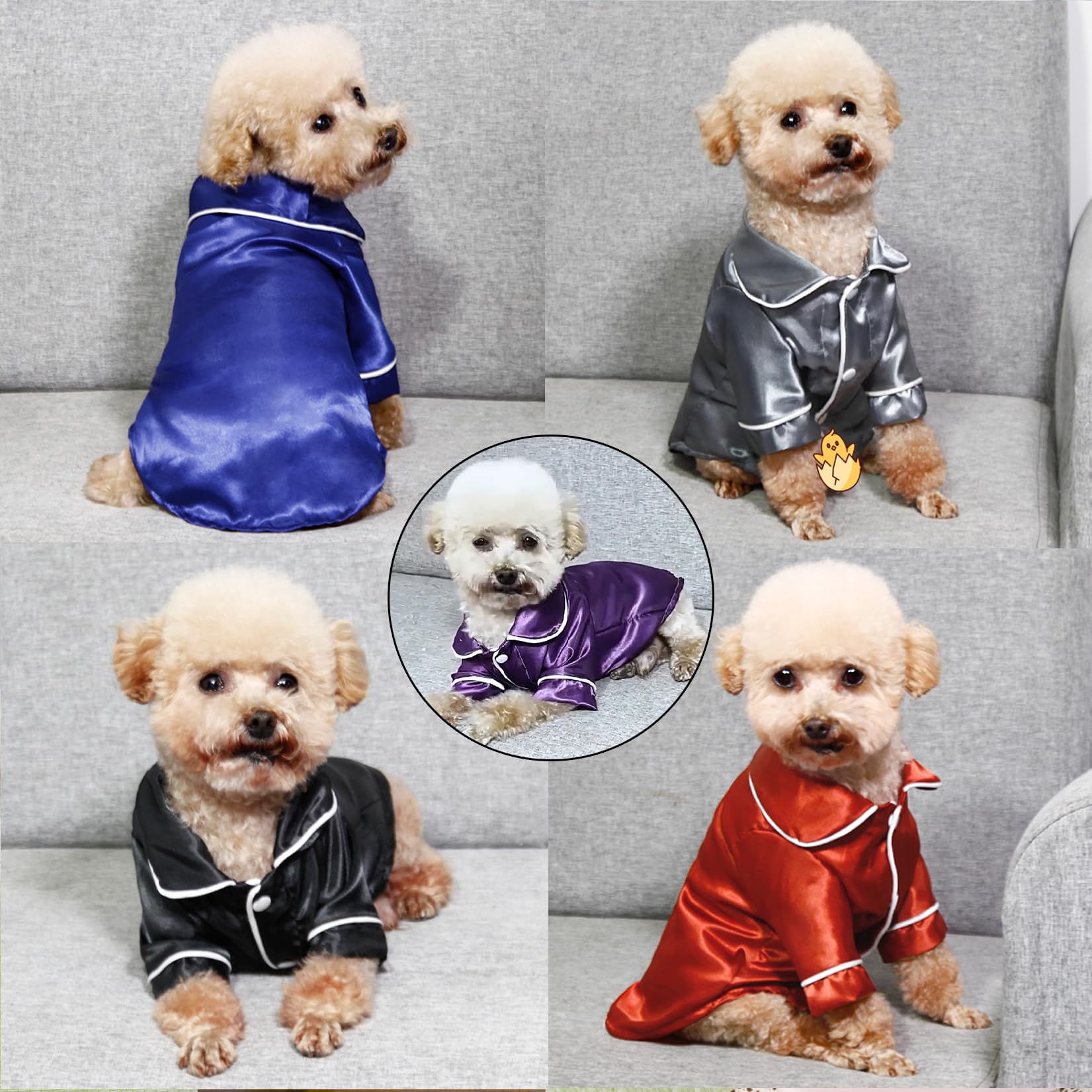 Zunea dog pajamas in a photo shoot look for festive occasions.