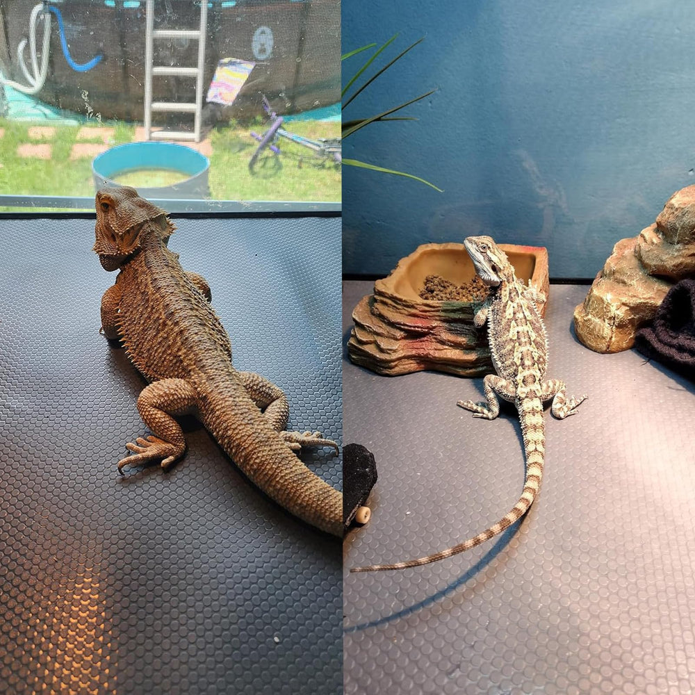 ZUNZINGY multi-species terrarium mat works across bearded dragons and geckos
