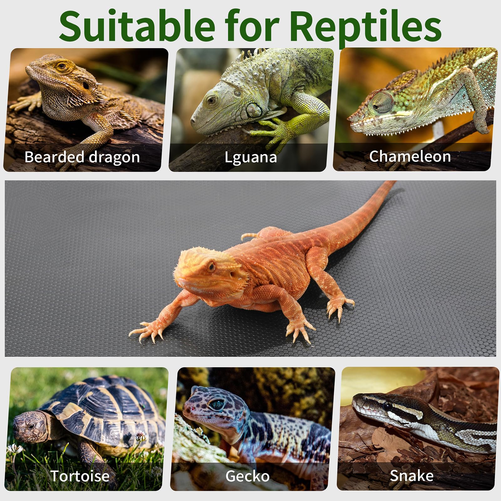 ZUNZINGY safe non-adhesive terrarium floor suitable for multiple reptiles