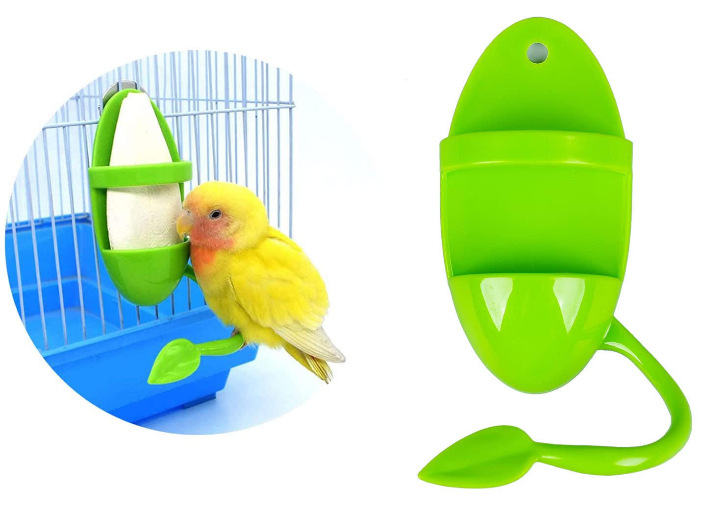 ZUOFANG 2pcs bird cuttlebone holder packaging demonstrates value and convenience.