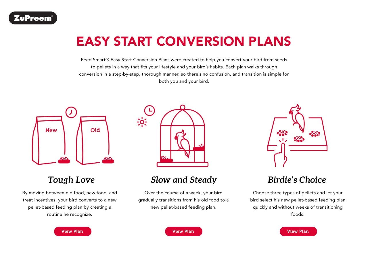 ZuPreem Sensible Seed Bird Food feeding area with a small bird enjoying a bowl.