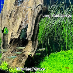ZUQOVI 3 Aquarium Plants Set long-hair showcases flowing strands for dynamic underwater scenes