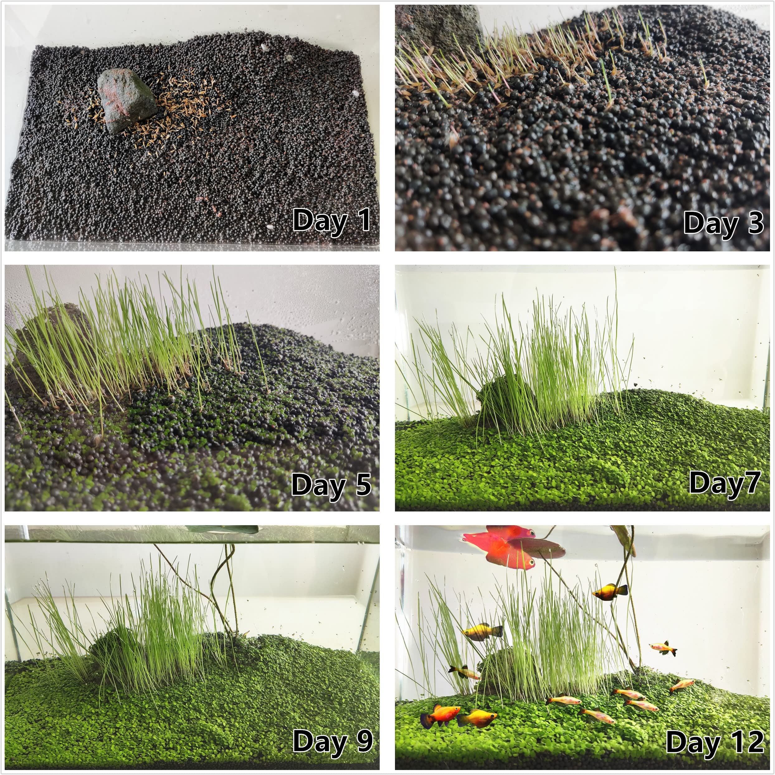 ZUQOVI 3 Aquarium Plants Set short-hair adds texture in mid-water zones