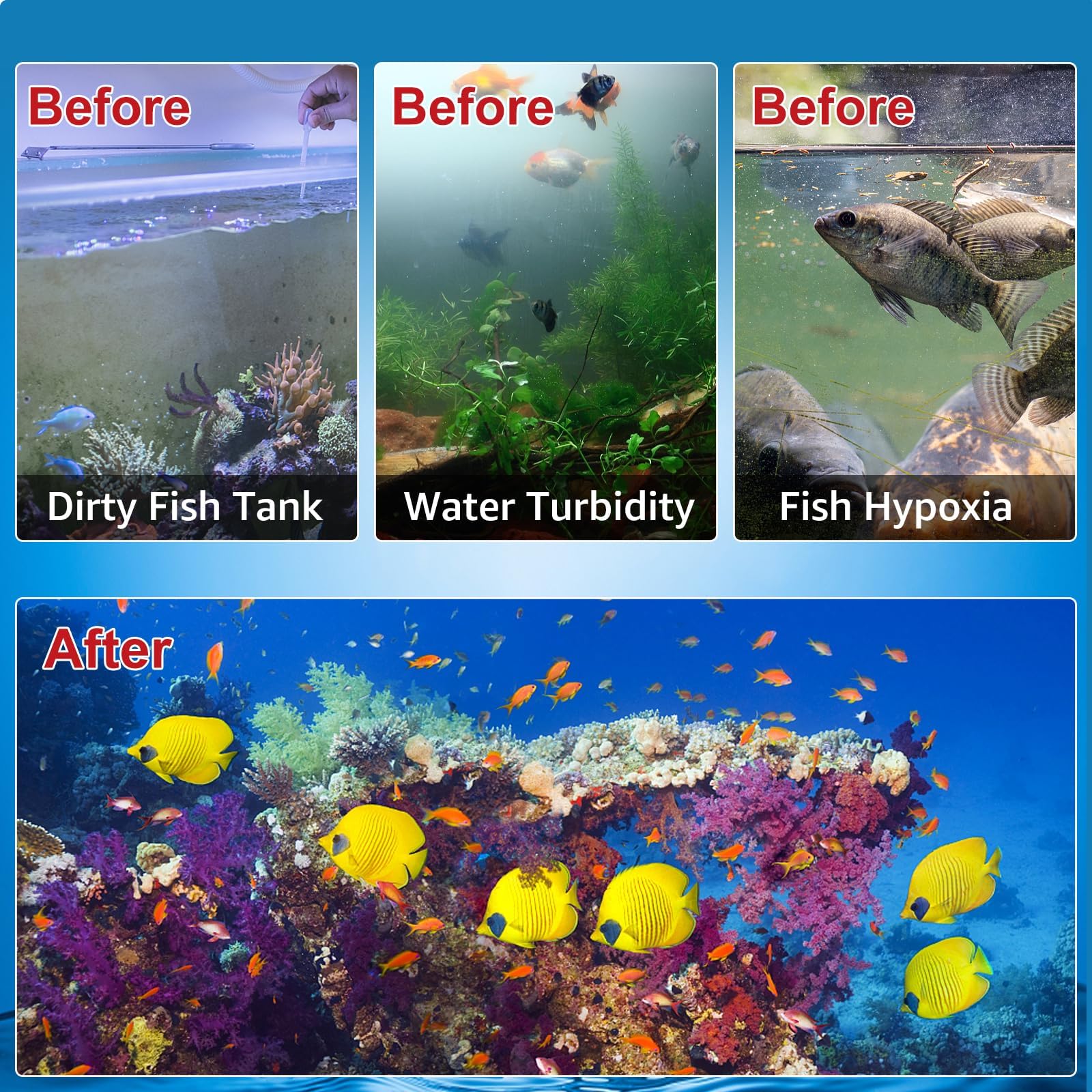 Zuqqony 3i compatibility in small tanks ensures space-efficient filtration